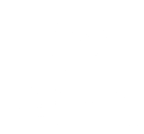 High Vibe High Vibe