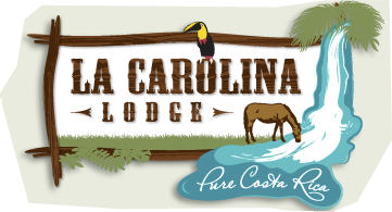 La Carolina Lodge La Carolina Lodge